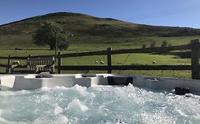 The Hand At Llanarmon